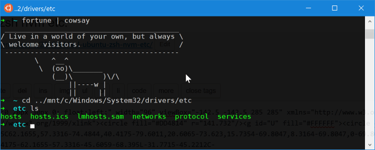 WSL Ubuntu bash example oh-my-zsh cowsay etc.