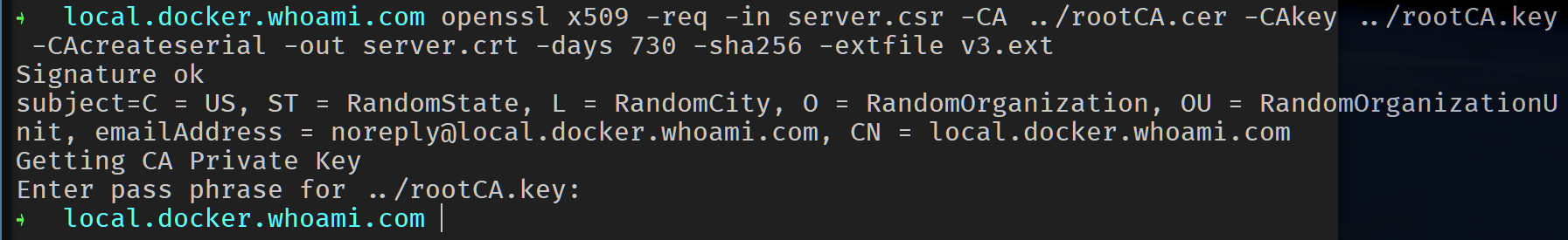 Cygwin openssl certificate signing request console output